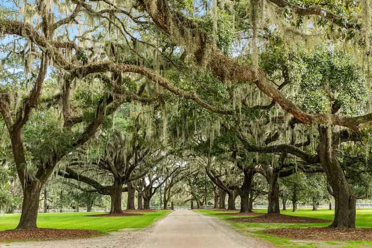 Charleston wedding photography by Fisher Film & Photo